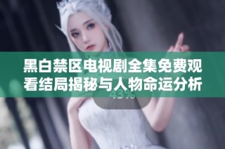 黑白禁区电视剧全集免费观看结局揭秘与人物命运分析