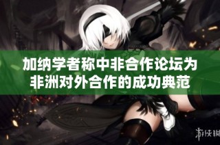 加纳学者称中非合作论坛为非洲对外合作的成功典范