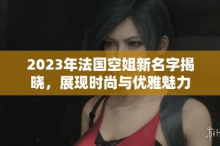 2023年法国空姐新名字揭晓，展现时尚与优雅魅力